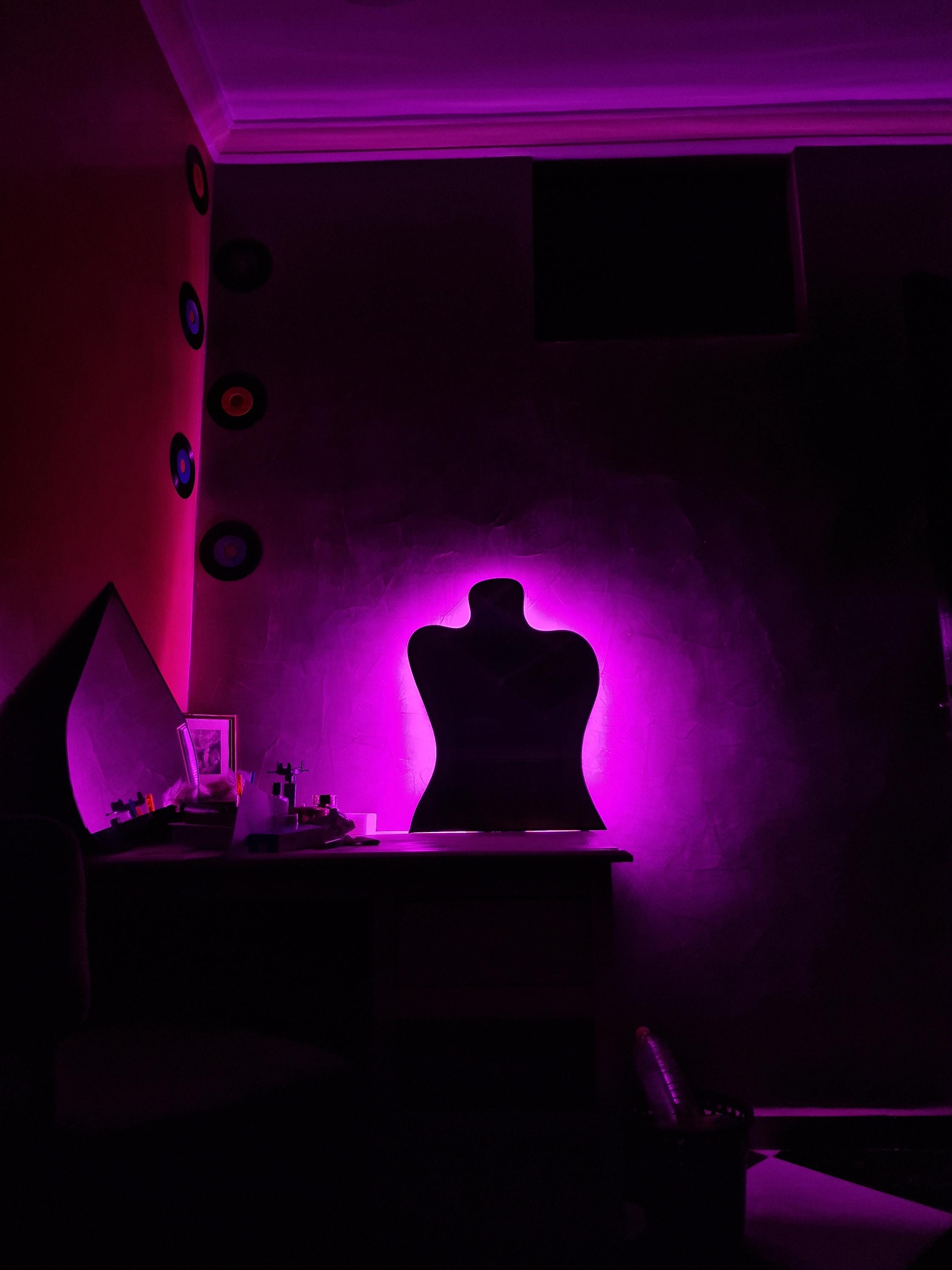 Silhouette LED Mirror – Purple Neon Backlit Wall Decor