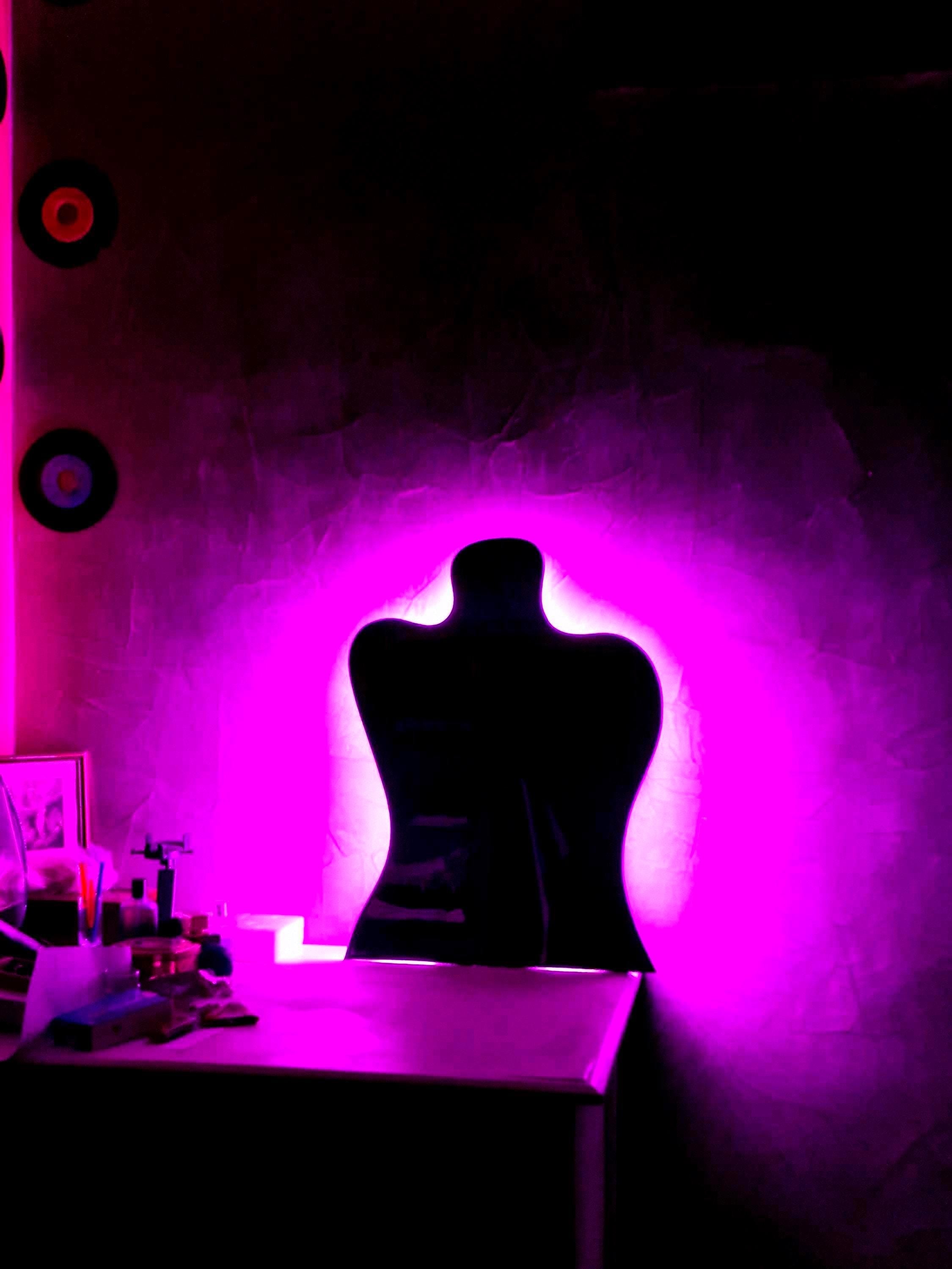 Silhouette LED Mirror – Purple Neon Backlit Wall Decor